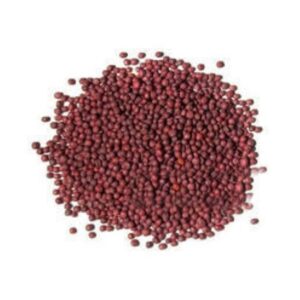 بذر شلغم (40گرمی)